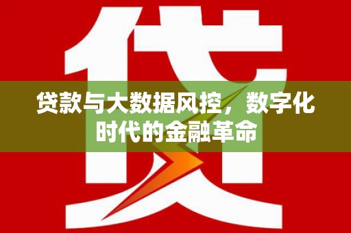 孝感贷款与大数据风控，数字化时代的金融革命