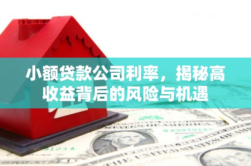 孝感小额贷款公司利率，揭秘高收益背后的风险与机遇