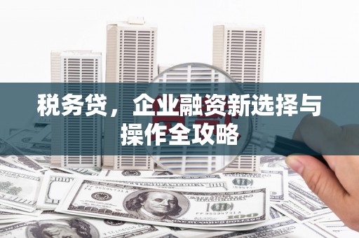孝感税务贷，企业融资新选择与操作全攻略