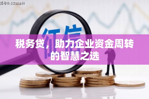 孝感税务贷，助力企业资金周转的智慧之选