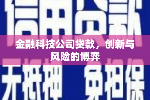 孝感金融科技公司贷款，创新与风险的博弈