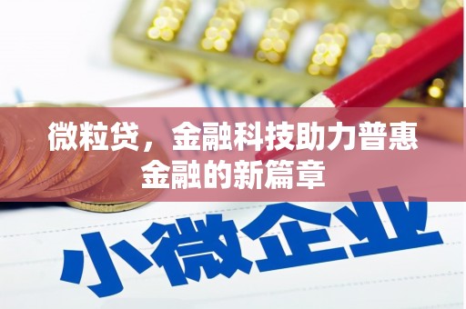 孝感微粒贷，金融科技助力普惠金融的新篇章