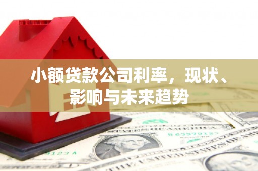 孝感小额贷款公司利率，现状、影响与未来趋势