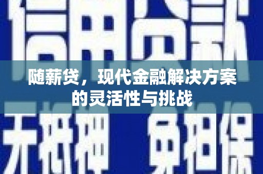 孝感随薪贷，现代金融解决方案的灵活性与挑战