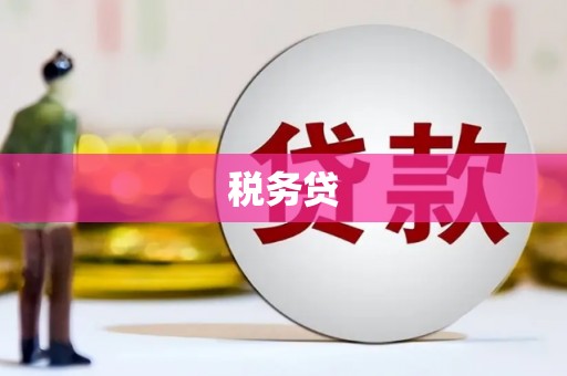 孝感税务贷