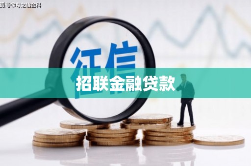 孝感招联金融贷款