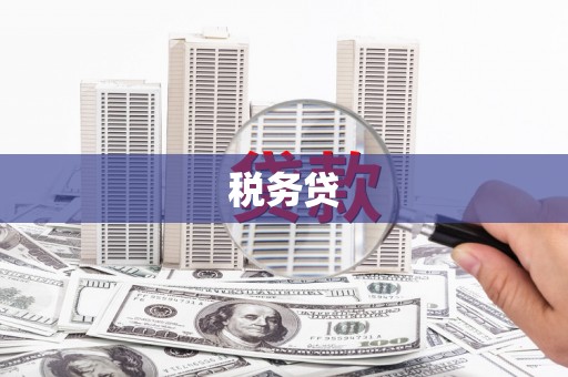 孝感税务贷
