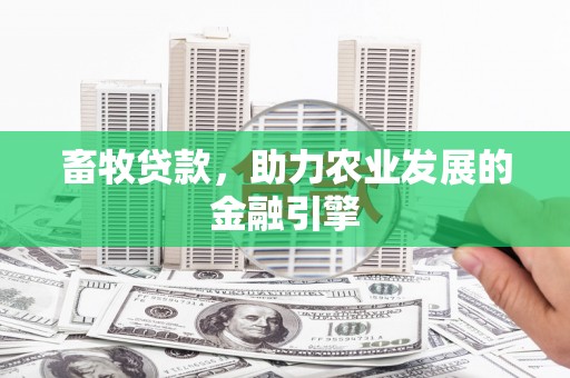 孝感畜牧贷款，助力农业发展的金融引擎