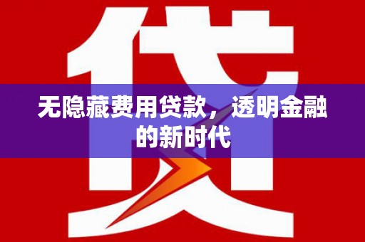 孝感无隐藏费用贷款，透明金融的新时代