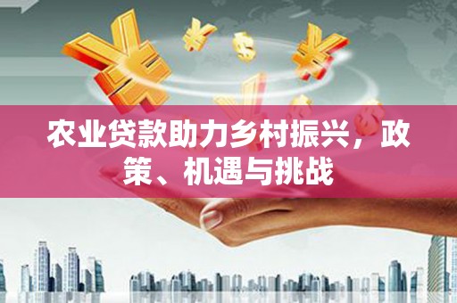 孝感农业贷款助力乡村振兴，政策、机遇与挑战