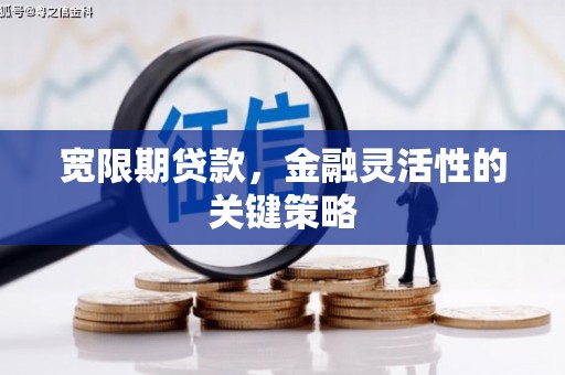 孝感宽限期贷款，金融灵活性的关键策略