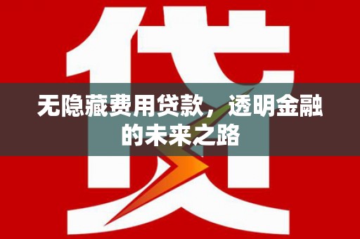孝感无隐藏费用贷款，透明金融的未来之路