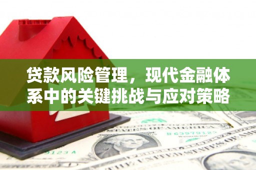孝感贷款风险管理，现代金融体系中的关键挑战与应对策略