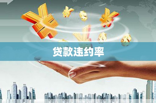 孝感贷款违约率