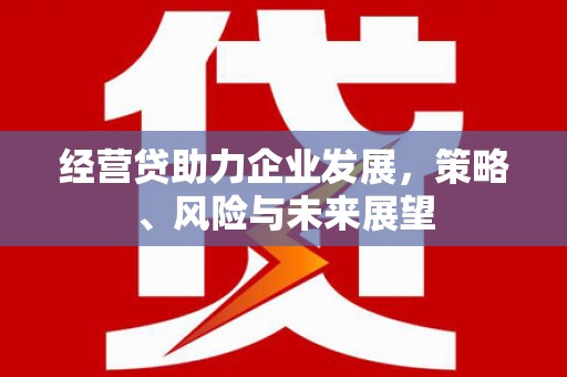 孝感经营贷助力企业发展，策略、风险与未来展望