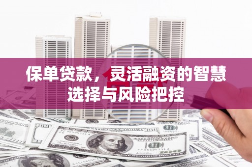 孝感保单贷款，灵活融资的智慧选择与风险把控