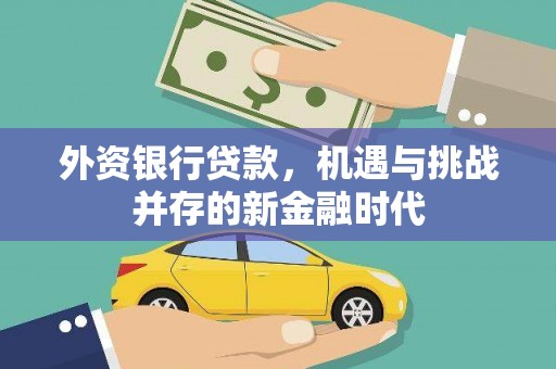 孝感外资银行贷款，机遇与挑战并存的新金融时代