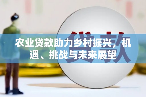 孝感农业贷款助力乡村振兴，机遇、挑战与未来展望