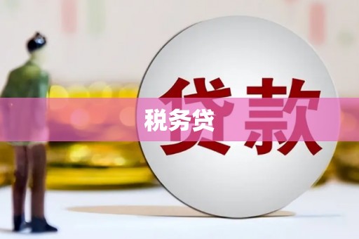 孝感税务贷