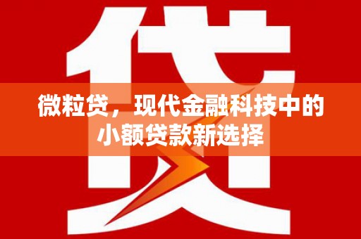 孝感微粒贷，现代金融科技中的小额贷款新选择