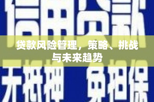 孝感贷款风险管理，策略、挑战与未来趋势