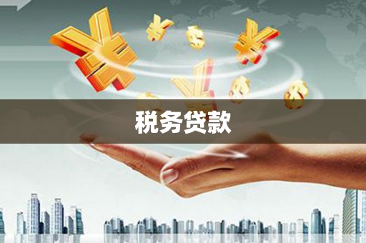 孝感税务贷款
