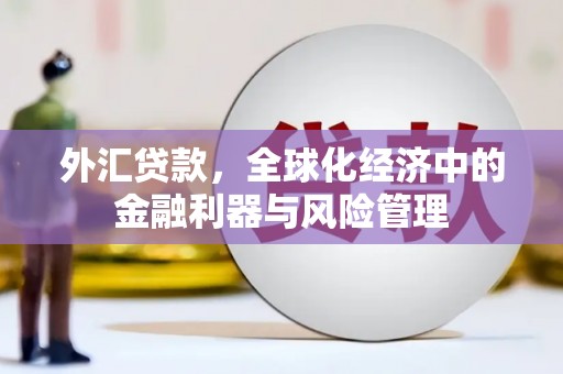 孝感外汇贷款，全球化经济中的金融利器与风险管理