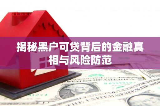 孝感揭秘黑户可贷背后的金融真相与风险防范