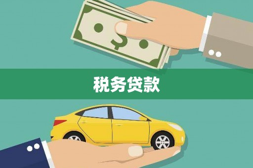 孝感税务贷款