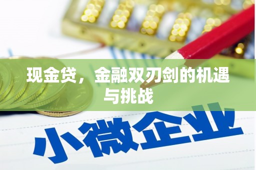 孝感现金贷，金融双刃剑的机遇与挑战