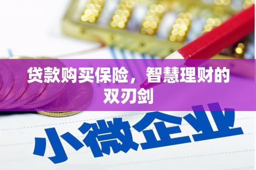 孝感贷款购买保险，智慧理财的双刃剑