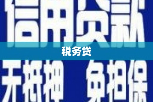 孝感税务贷