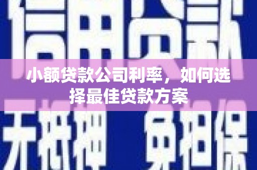 孝感小额贷款公司利率，如何选择最佳贷款方案