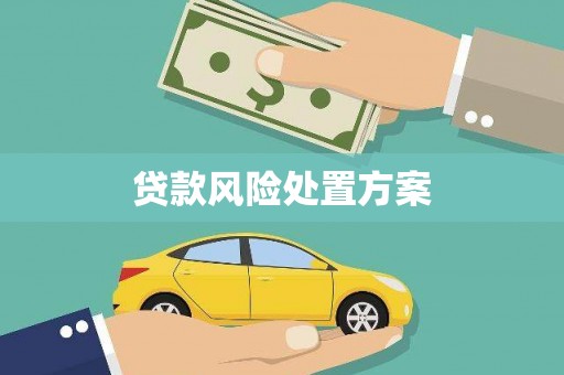 孝感贷款风险处置方案