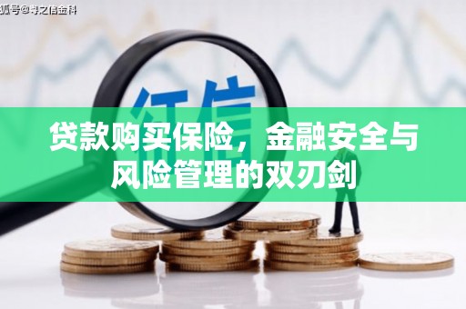 孝感贷款购买保险，金融安全与风险管理的双刃剑