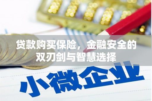 孝感贷款购买保险，金融安全的双刃剑与智慧选择