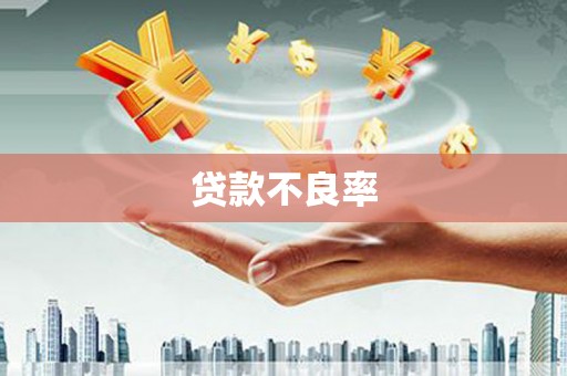 孝感贷款不良率
