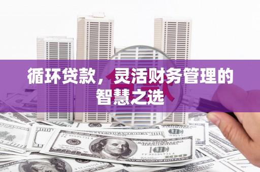 孝感循环贷款，灵活财务管理的智慧之选