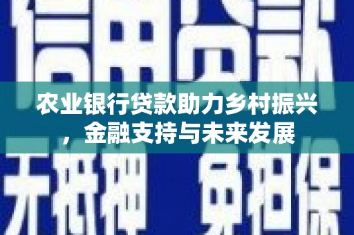 孝感农业银行贷款助力乡村振兴，金融支持与未来发展