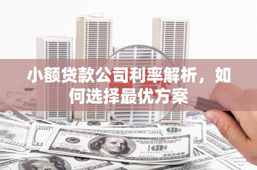 孝感小额贷款公司利率解析，如何选择最优方案