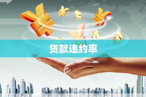 孝感贷款违约率