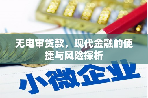 孝感无电审贷款，现代金融的便捷与风险探析