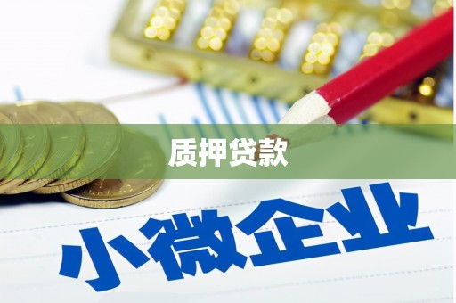 孝感质押贷款