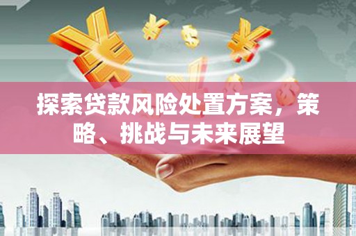 孝感探索贷款风险处置方案，策略、挑战与未来展望