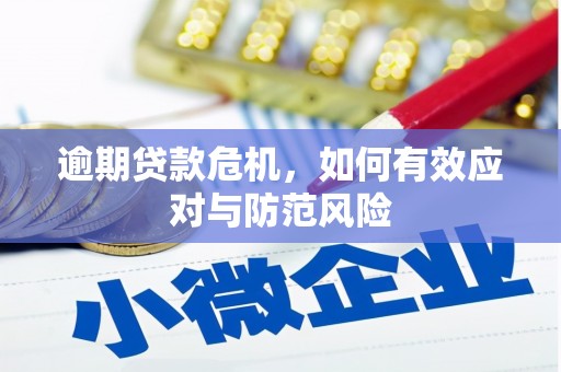 孝感逾期贷款危机，如何有效应对与防范风险