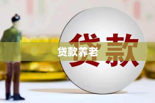 孝感贷款养老