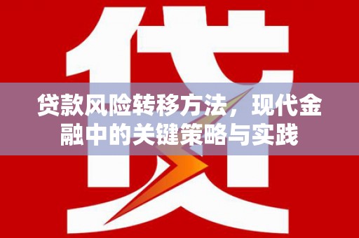 孝感贷款风险转移方法，现代金融中的关键策略与实践
