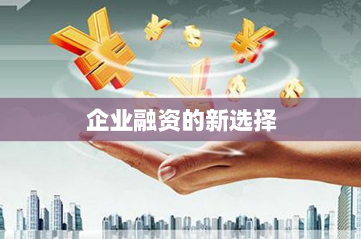 孝感企业融资的新选择