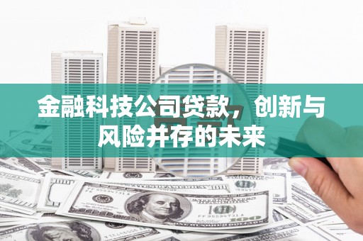 孝感金融科技公司贷款，创新与风险并存的未来