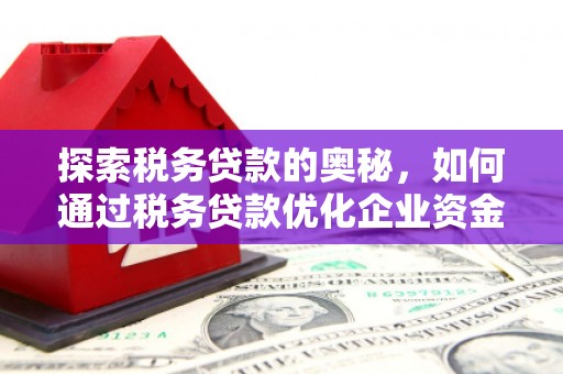 孝感探索税务贷款的奥秘，如何通过税务贷款优化企业资金流